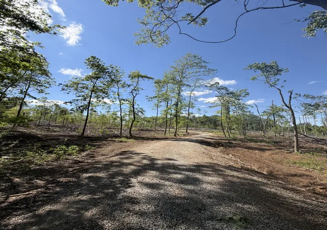 2nd image of 6492 Cross Plains Rd, Springfield, TN 37172 | MLS# 3198431
