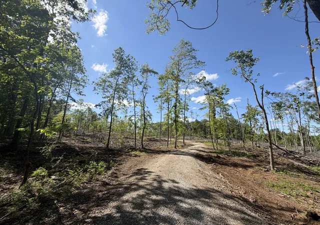 1st image of 6492 Cross Plains Rd, Springfield, TN 37172 | MLS# 3198431
