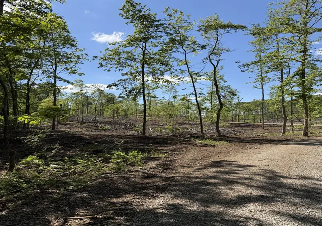 Photo 3 of Land for sale at 6492 Cross Plains Rd, Springfield, TN 37172 | MLS# 3198431 | Listing updated on 2026-08-19