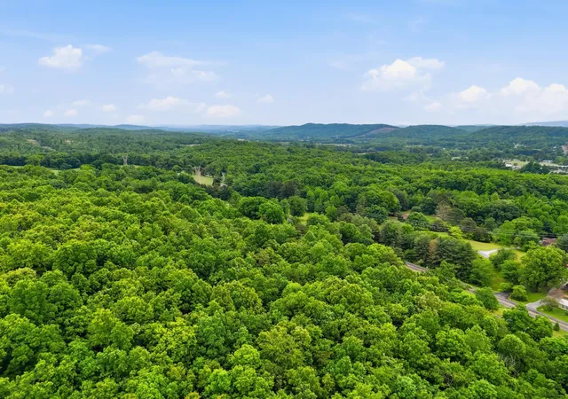 Homes for sale in Decatur, TN | 1301 River Road, Decatur, TN 37322 | MLS# 3224400