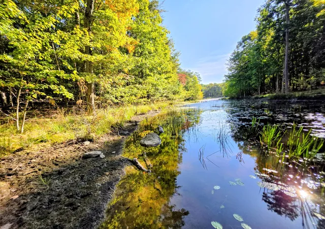Land for sale at 6 Beechwood Trl, Coalmont, TN 37313 | MLS# 3205629