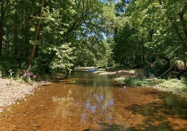 26th image of 1490 Upper Standing Rock Rd, Dover, TN 37058 | MLS# 3205473