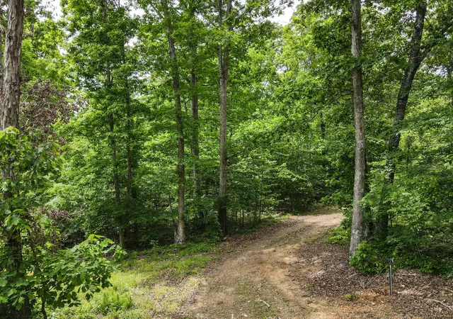 2nd image of 1855 Shiloh Church Rd, Camden, TN 38320 | MLS# 3205355