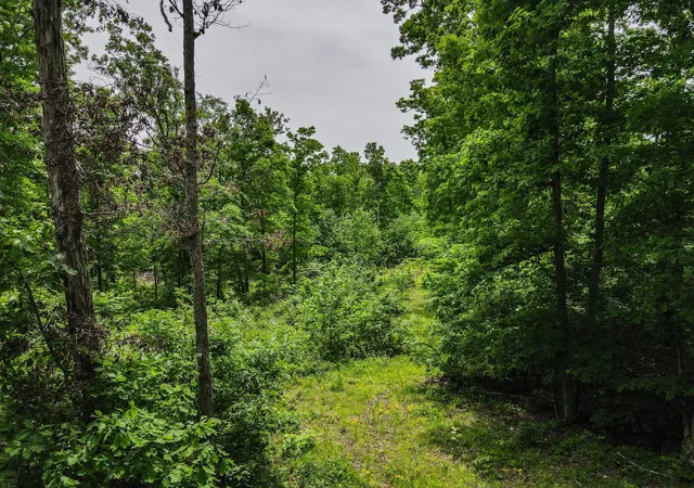 3rd image of 1855 Shiloh Church Rd, Camden, TN 38320 | MLS# 3205355