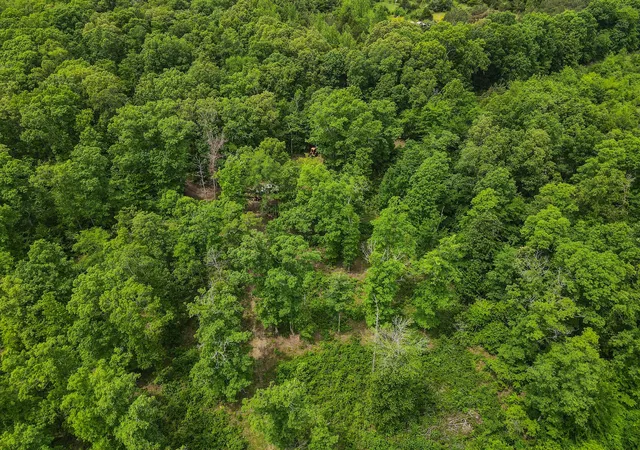 4th image of 1855 Shiloh Church Rd, Camden, TN 38320 | MLS# 3205355