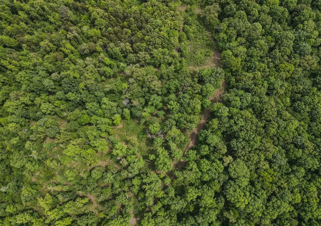5th image of 1855 Shiloh Church Rd, Camden, TN 38320 | MLS# 3205355