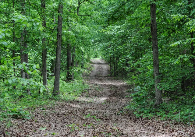 1st image of 1855 Shiloh Church Rd, Camden, TN 38320 | MLS# 3205355