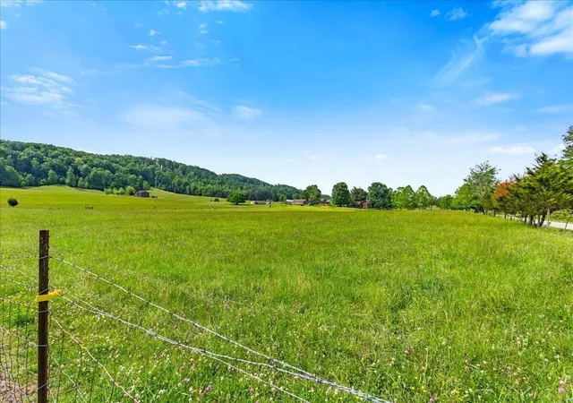 3rd image of 1245 Paint Rock Valley Road, Philadelphia, TN 37846 | MLS# 3223283