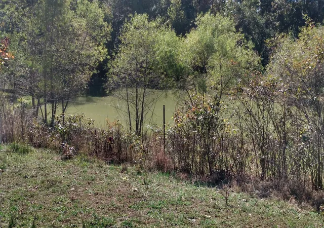 Photo 2 of Sale Pending at 0 Lockertsville Rd, Ashland City, TN 37015 | MLS# 3205624 | Listing updated on 2026-08-29