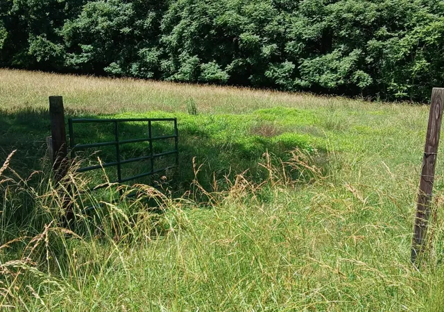 Photo 3 of Sale Pending at 0 Lockertsville Rd, Ashland City, TN 37015 | MLS# 3205624 | Listing updated on 2026-08-29