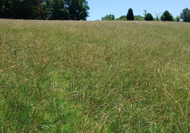 Photo 1 of Sale Pending at 0 Lockertsville Rd, Ashland City, TN 37015 | MLS# 3205624 | Listing updated on 2026-08-29