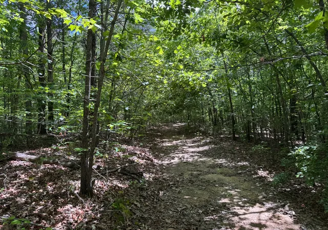 20th image of 0 Dude Road, Savannah, TN 38372 | MLS# 3205619
