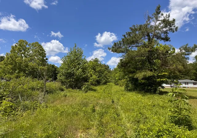 2nd image of 0 Dude Road, Savannah, TN 38372 | MLS# 3205619