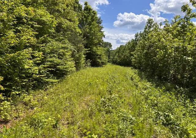 1st image of 0 Dude Road, Savannah, TN 38372 | MLS# 3205619