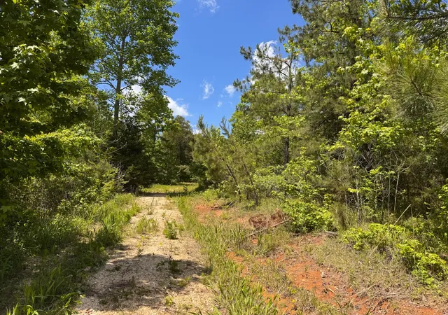 3rd image of 0 Dude Road, Savannah, TN 38372 | MLS# 3205619