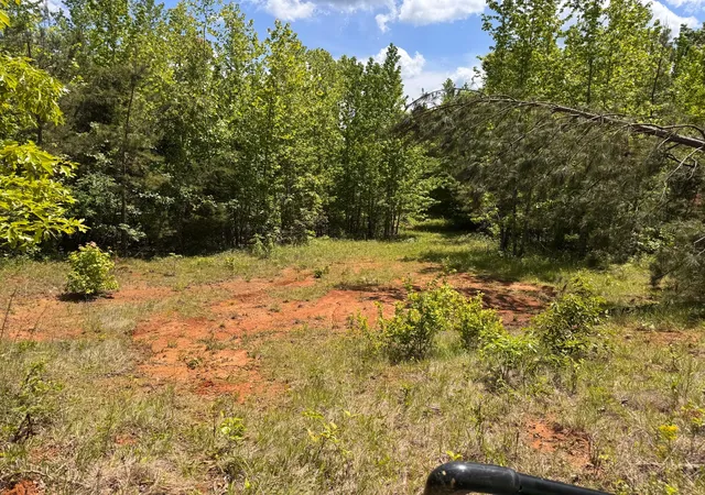 4th image of 0 Dude Road, Savannah, TN 38372 | MLS# 3205619