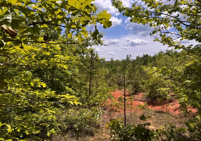 5th image of 0 Dude Road, Savannah, TN 38372 | MLS# 3205619