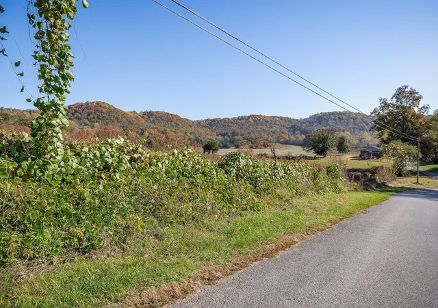 Homes for sale in Walling, TN | 0 Webbs Camp Road, Walling, TN 38587 | MLS# 3229973