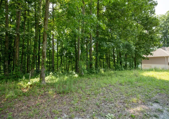 Homes for sale in Sparta, TN | 0 Stillhouse Branch Rd, Sparta, TN 38583 | MLS# 3254864