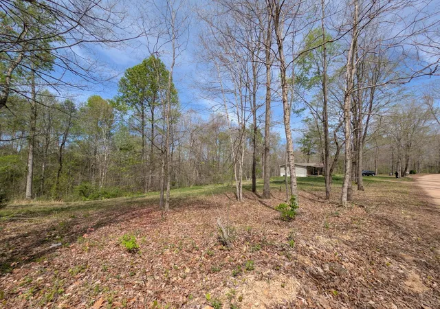 Homes for sale in Bon Aqua, TN | 10740 Bear Creek Rd, Bon Aqua, TN 37025 | MLS# 3205879