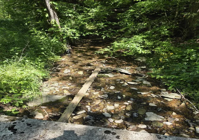 1st image of 806 Brandon Hollow, Lynchburg, TN 37352 | MLS# 3208016