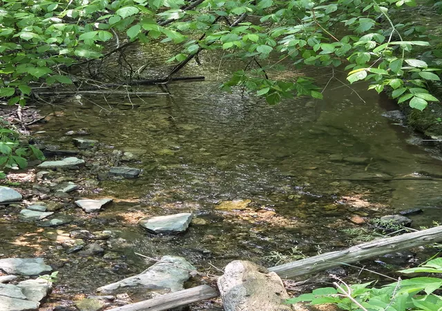 Photo 3 of Land for sale at 806 Brandon Holw, Lynchburg, TN 37352 | MLS# 3208016 | Listing updated on 2026-08-21