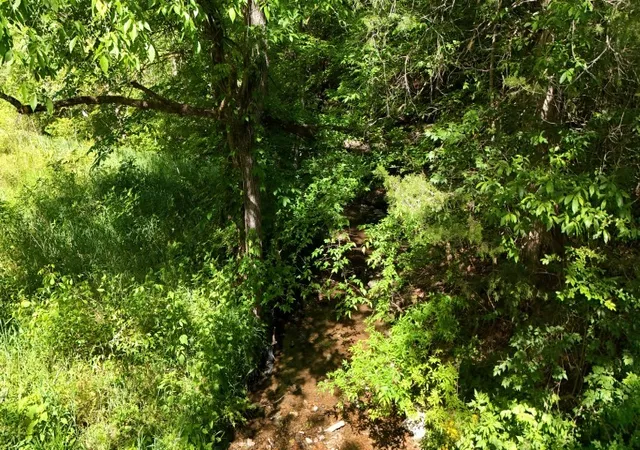 38th image of 806 Brandon Hollow, Lynchburg, TN 37352 | MLS# 3208016
