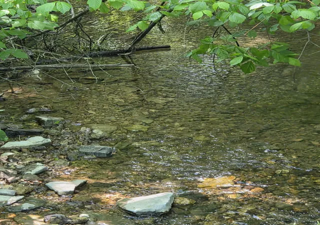 Photo 3 of Land for sale at 806 Brandon Holw, Lynchburg, TN 37352 | MLS# 3208016 | Listing updated on 2026-08-21