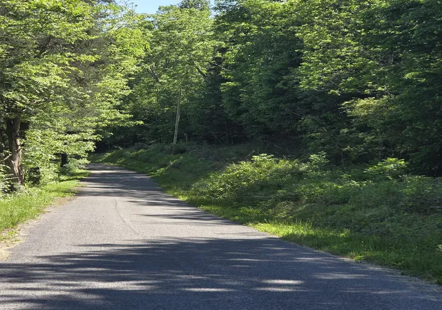 Photo 4 of Land for sale at 806 Brandon Holw, Lynchburg, TN 37352 | MLS# 3208016 | Listing updated on 2026-08-21