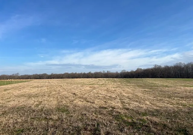 Photo 1 of Land for sale at 0 Fountain Grv Rd, Morrison, TN 37357 | MLS# 3205943 | Listing updated on 2026-09-19