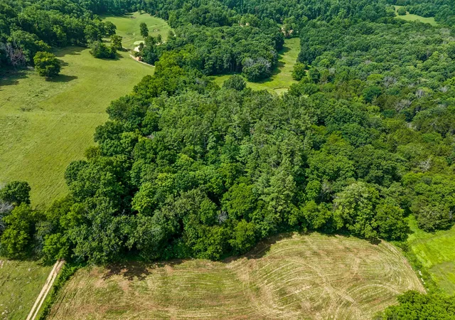Photo 3 of Land for sale at 4545 Stephenson Schoolhouse Rd, Hampshire, TN 38461 | MLS# 3285707 | Listing updated on 2026-10-01