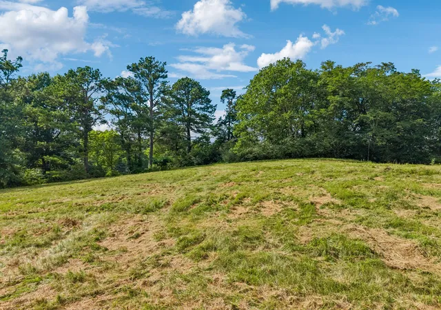 Photo 4 of House for sale at 4545 Stephenson Schoolhouse Rd, Hampshire, TN 38461 | MLS# 3285707 | Listing updated on 2026-10-01