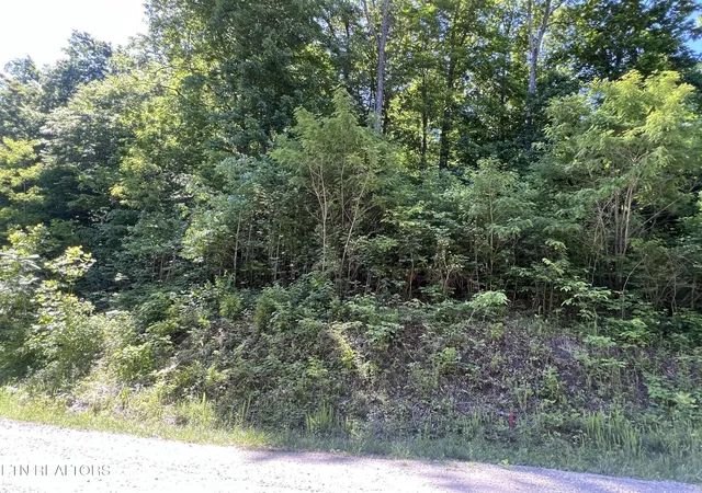 Homes for sale in Jamestown, TN | 0 Apache Rd, Jamestown, TN 38556 | MLS# 3255765