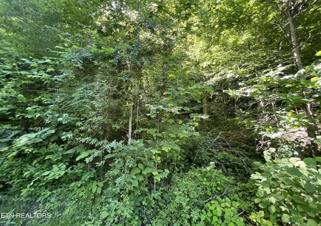 Photo 3 of Land for sale at 0 Apache Rd, Jamestown, TN 38556 | MLS# 3255765 | Listing updated on 2026-07-21