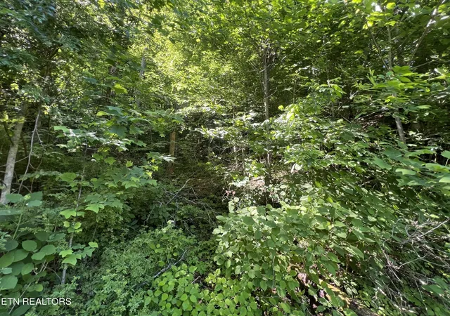Photo 4 of Land for sale at 0 Apache Rd, Jamestown, TN 38556 | MLS# 3255765 | Listing updated on 2026-07-21