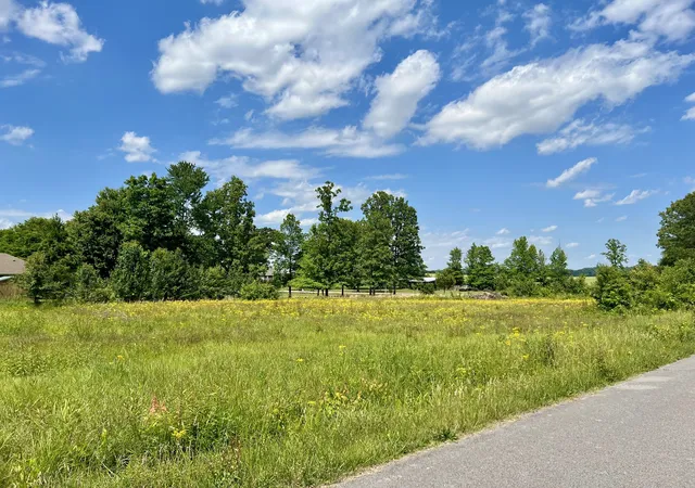 Homes for sale in Lawrenceburg, TN | 0 Salem Lane, Lawrenceburg, TN 38464 | MLS# 3213666