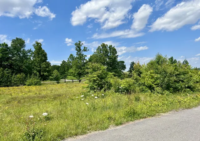 Homes for sale in Lawrenceburg, TN | 0 Salem Lane, Lawrenceburg, TN 38464 | MLS# 3213666