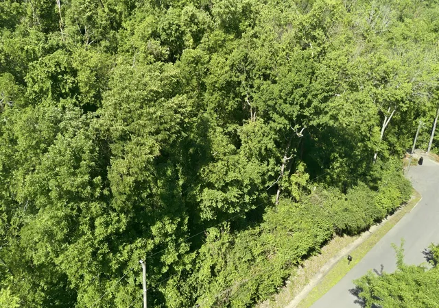 Photo 3 of Land for sale at 3 Saint James Pl, Nashville, TN 37215 | MLS# 3210918 | Listing updated on 2026-06-03