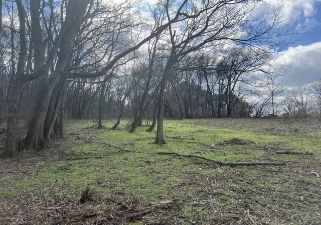 Photo 3 of Land for sale at 917 1st Avenue, Mount Pleasant, TN 38474 | MLS# 3208329 | Listing updated on 2026-08-28