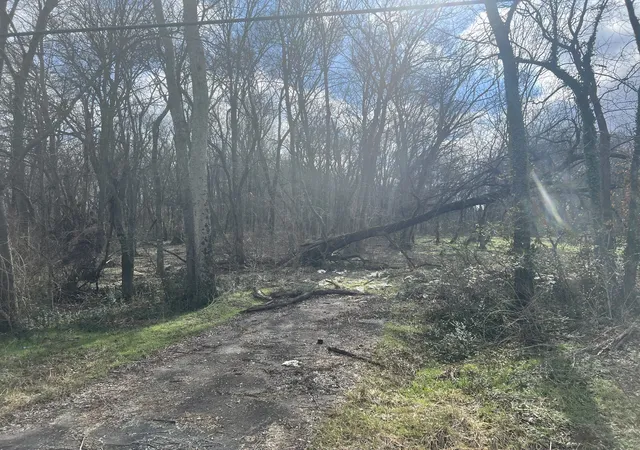 Photo 3 of Land for sale at 917 1st Avenue, Mount Pleasant, TN 38474 | MLS# 3208329 | Listing updated on 2026-08-28