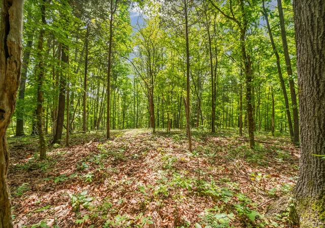 3rd image of 1 Budds Creek Road, Palmyra, TN 37142 | MLS# 3210901