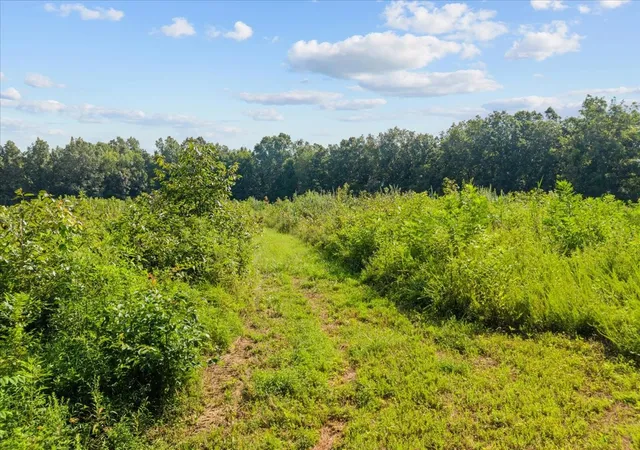 Photo 4 of Land for sale at 0 Kizer Ridge Rd, Erin, TN 37061 | MLS# 3211170 | Listing updated on 2026-08-28