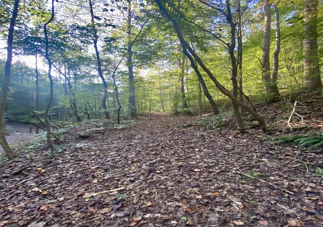 2nd image of 8552 Cub Creek Rd, Nashville, TN 37209 | MLS# 3211066