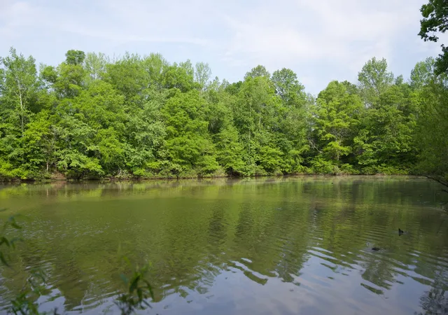 Homes for sale in Rock Island, TN | 0 Hankins Rd, Rock Island, TN 38581 | MLS# 3211176