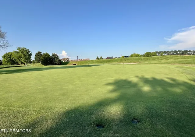 43rd image of 551 Firefly Dr, Loudon, TN 37774 | MLS# 3211224