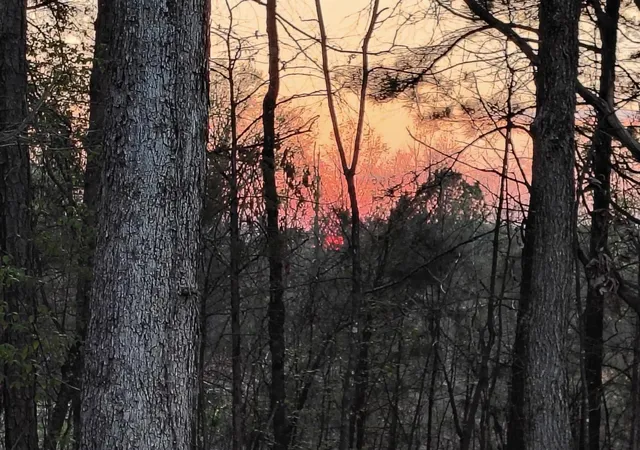 30th image of 177 Lifestyle Way, Benton, TN 37307 | MLS# 3337285
