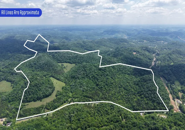 Homes for sale in Dixon Springs, TN | 96 Maranatha Hollow Ln, Dixon Springs, TN 37057 | MLS# 3221551
