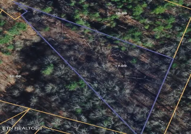 Photo 3 of Land for sale at 251 Mine Holw Rd, Reliance, TN 37369 | MLS# 3211369 | Listing updated on 2026-07-17