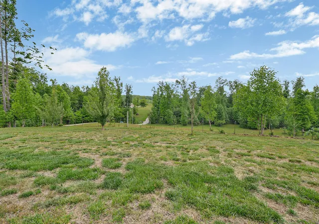 45th image of 2930 Doc Loy Road, Grandview, TN 37337 | MLS# 3336900