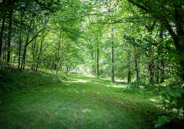 2nd image of 0 Pulaksi Hwy, Fayetteville, TN 37334 | MLS# 3221766